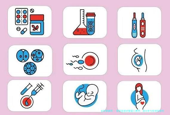 探索美国试管婴儿费用：成功率与投资回报的综合评估