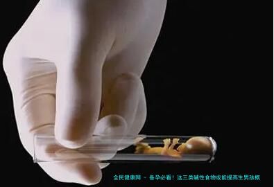 备孕必看！这三类碱性食物或能提高生男孩概率