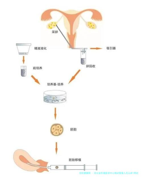 河北省生殖医学中心做试管婴儿怎么样(附试管成功率、费用明细)