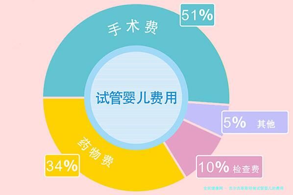 吉尔吉斯斯坦做试管婴儿的费用