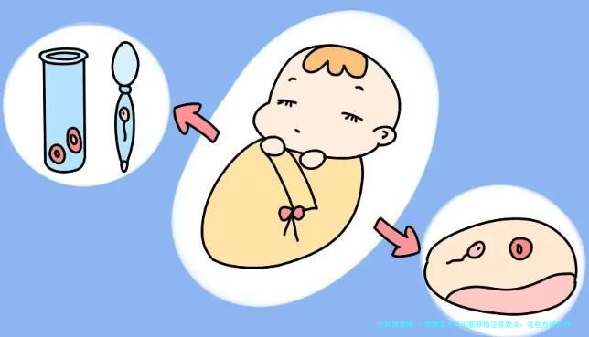泰国第三代试管移植注意要点：这些方面的护理不可忽视！