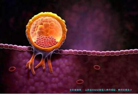 山西省妇幼试管婴儿费用揭秘：费用究竟多少？是否仅需三万？