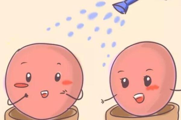 amh值低代表卵巢早衰
