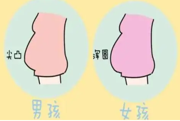 肚子尖尖会生个男娃