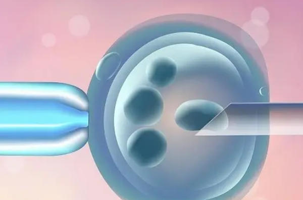 移植胚胎的最佳时机，一文了解月经后第几天最合适