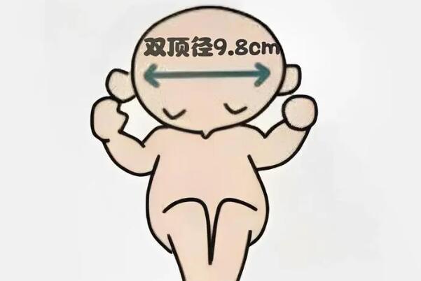 男娃女娃双顶径对照表，宝宝发育是否正常看这个就知道