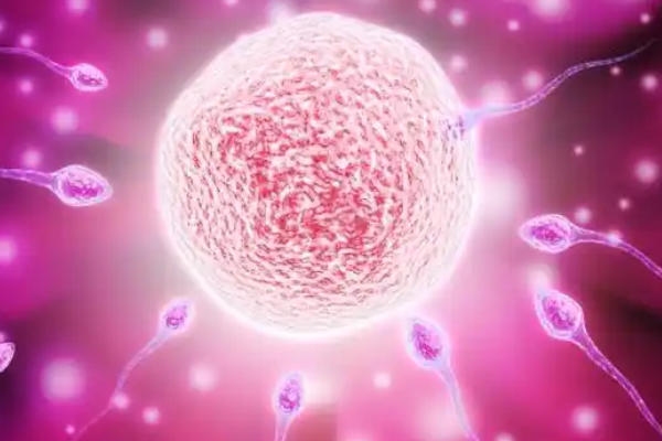 子宫环境会影响胚胎着床率