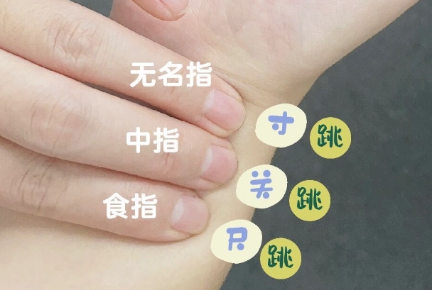 中医把脉要三根手指一起