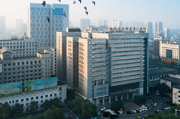 衡阳包成功的试管医院大全，南华附二和附三哪个好看这里