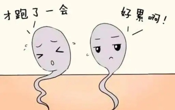 男方精子活力差做人授还是二代试管比较好呢？