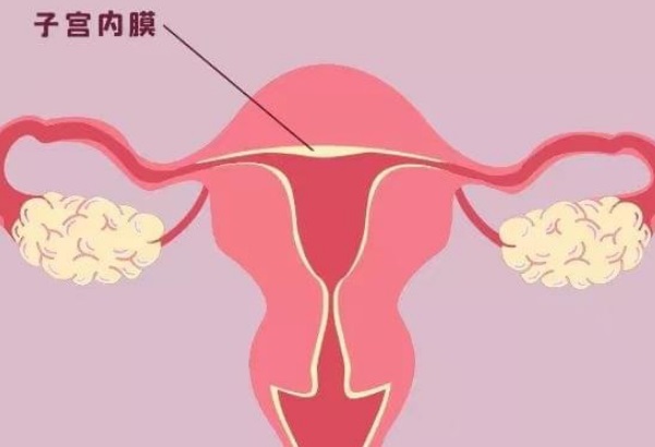 二代试管促排期间内膜形态会出现一定的变化吗？