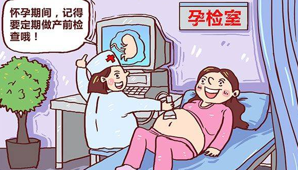 nt检查报告单的数据只是作为参考