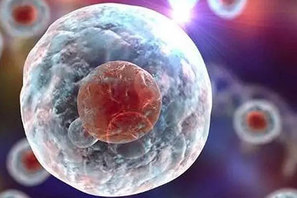 等级高的胚胎不一定代表100%成功
