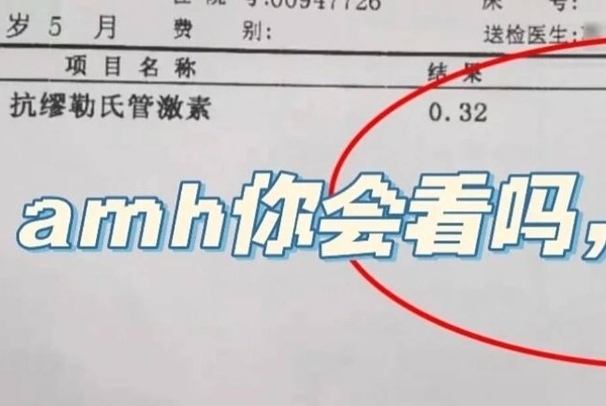 amh小于0.06试管也能成功？解析低卵巢储备女性的生育希望