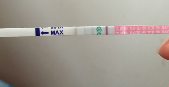试纸随着排卵期到来加深