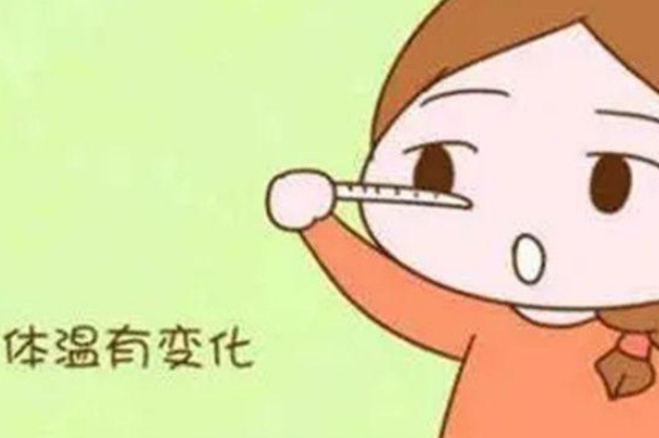 体温升高是排卵了还是将要排，一文了解备孕必知的体温秘密