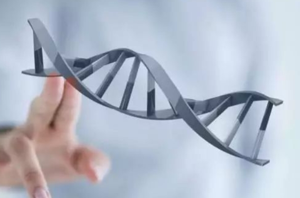 无创dna21三体高风险是不是没希望继续妊娠了？