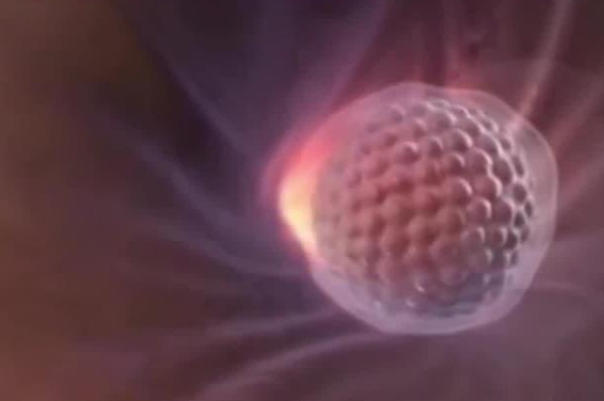 子宫内膜会影响囊胚着床