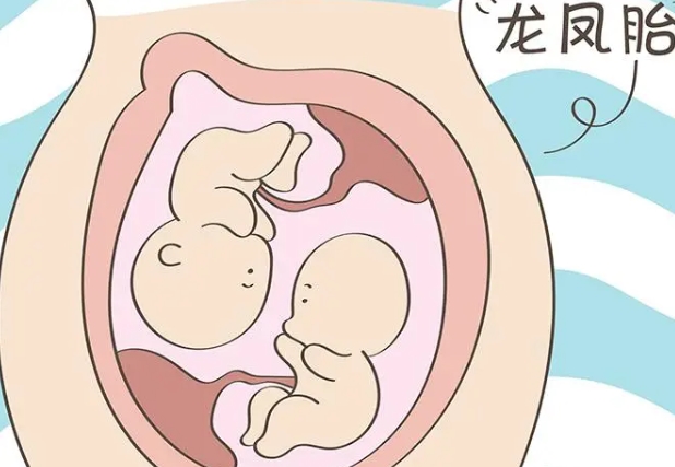 为什么会有双胎妊娠双绒双羊容易是龙凤胎的说法呢？