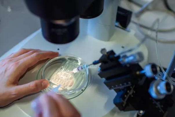 通过试管婴儿技术怀孕需要准备其他更有针对性的备孕事项吗？