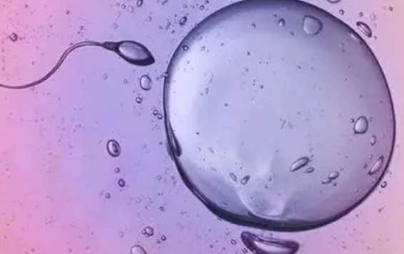 美国促排卵的保健品有哪些？试管婴儿促排准备介绍