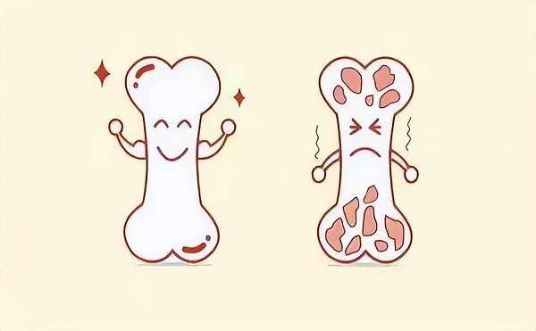 激素分泌异常会影响骨骼发育
