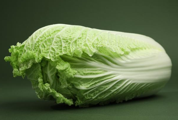 大白菜是碱性蔬菜
