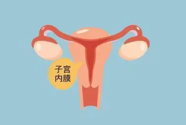 子宫内膜环境影响试管的成功率