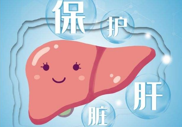 正常人吃辅酶Q10可保护肝脏