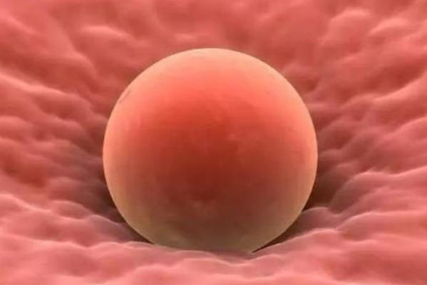 试管移植第三天胚胎一般几天会着床？一文读懂全过程