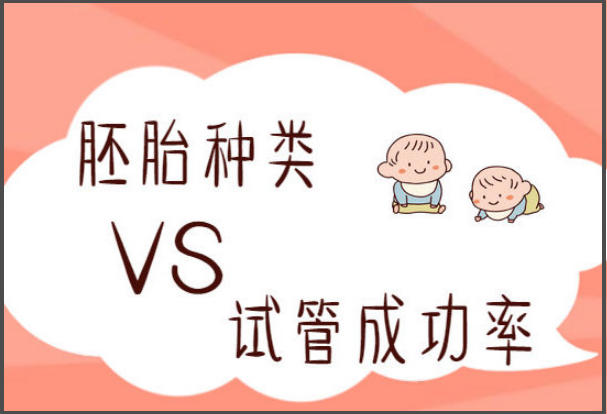 揭秘试管婴儿移植过程，从准备到成功的关键步骤