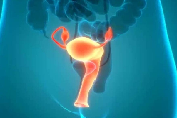高龄女性如何科学备孕，生育力评估有助于后续安排