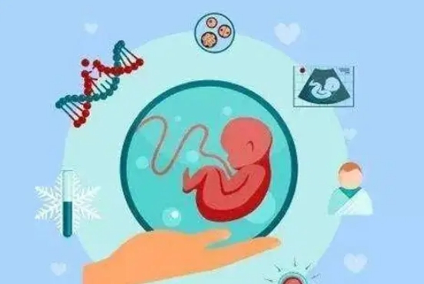 通过促排方案可以改善卵泡质量