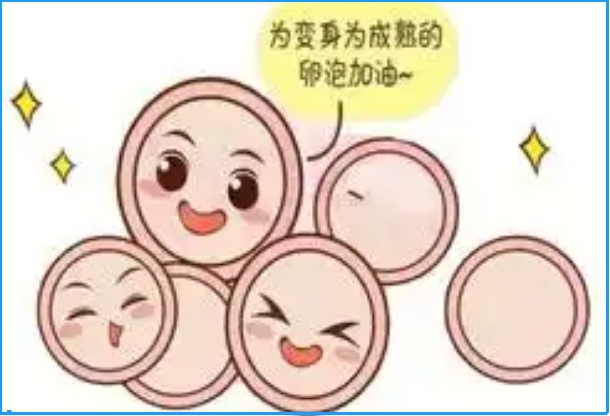 ‌PPOS方案不适合所有人