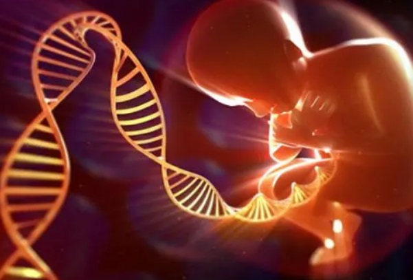 1314罗氏易位做一代试管可以生健康的孩子吗？