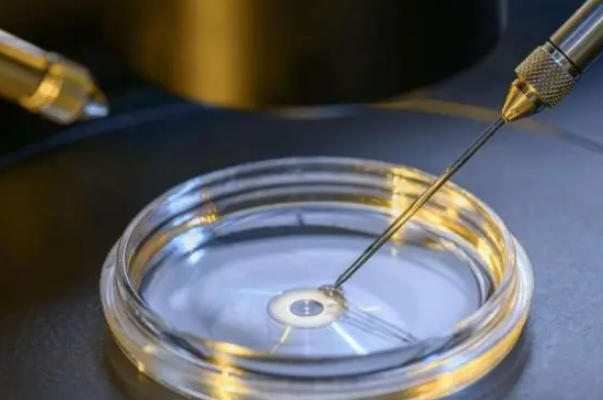 苏州私立试管机构全攻略，优势亮点与选择贴士