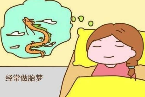 孕妇做梦梦到猫是胎梦