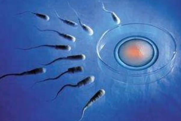 精子少会降低怀孕成功几率