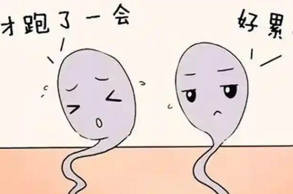 男性备孕要做精液分析