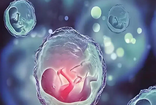 一个囊胚分化成两个胚胎的婴儿健康吗？分裂的宝宝会有问题不