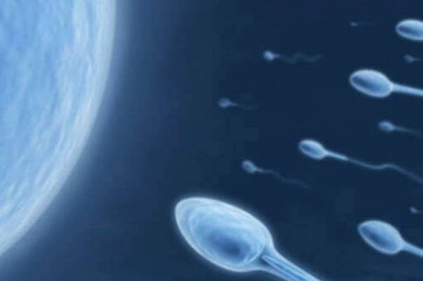 一文弄清做一代试管培养胚胎时，医生是否会优选A级精子进行培养