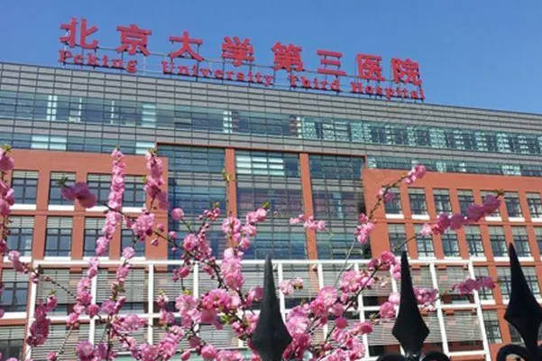 北医三院三代试管婴儿费用概览：一次治疗所需预算详解