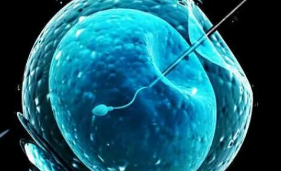 北大医院三代试管供精助孕生儿子费用公开！单次试管需要这个数