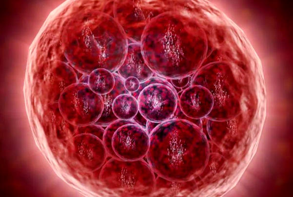 试管移植后不吃药胚胎能存活吗？一文了解保胎原理