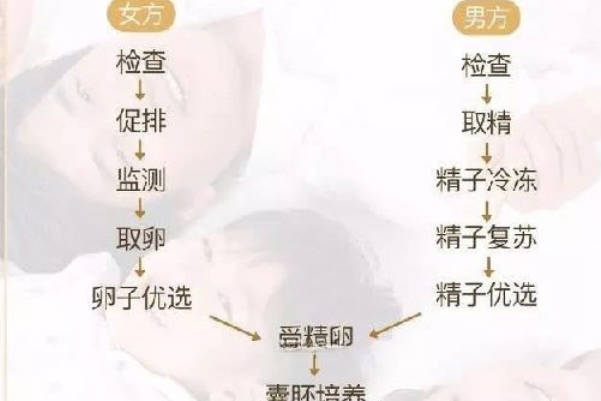 45岁做试管完成整个流程不低于20天