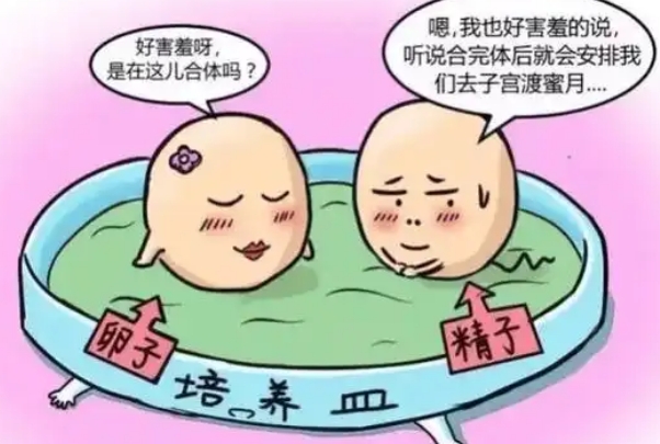 不同试管技术适用人群不同