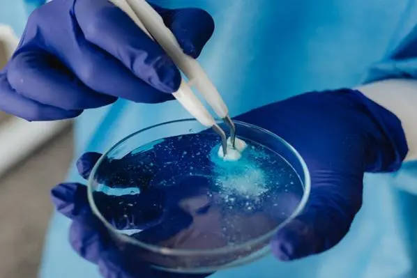 试管5个胚胎养囊成功率高不高，有5个胚胎到底要不要养囊