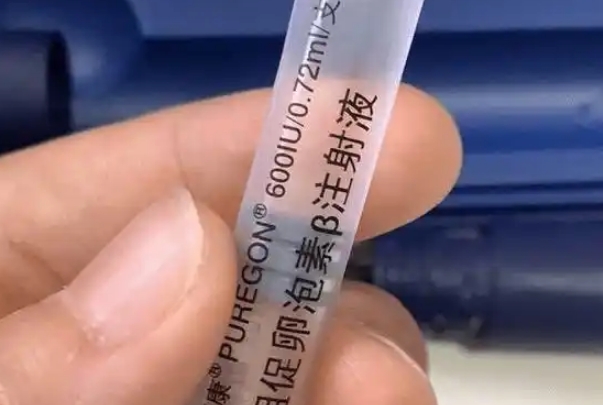 卵泡不破可以调整药物方案