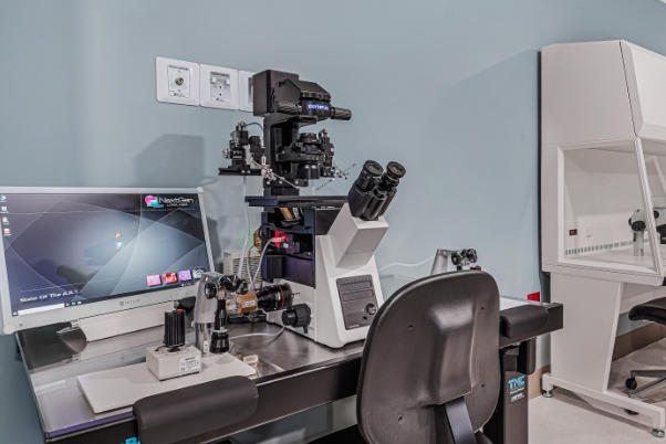 2025最新三代试管婴儿全攻略：成功率飙升，费用大降！