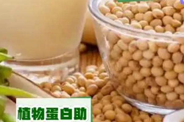 备孕选乳清蛋白还是植物蛋白，建议每周轮流换着吃